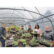 Növényszaporítás praktikái kezdő kertészeknek workshop-2022. 10.29. szombat 14-17 óra