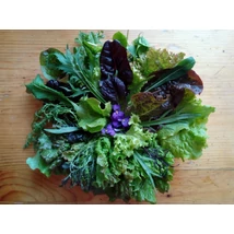 Vegyes salátakeverék-10 dkg