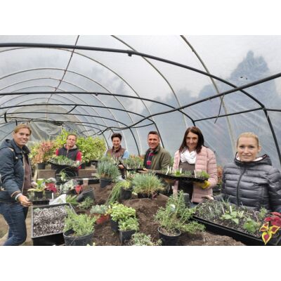 Növényszaporítás praktikái kezdő kertészeknek workshop-2022. 10.29. szombat 14-17 óra
